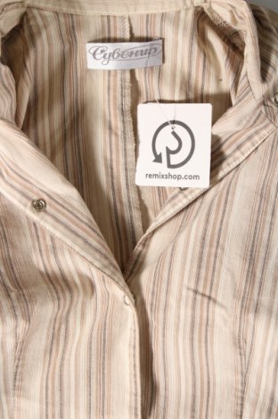 Γυναικείο πουκάμισο, Μέγεθος M, Χρώμα  Μπέζ, Τιμή 4,76 €