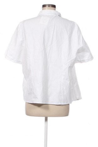 Damska koszula Collection L, Rozmiar XXL, Kolor Biały, Cena 79,96 zł