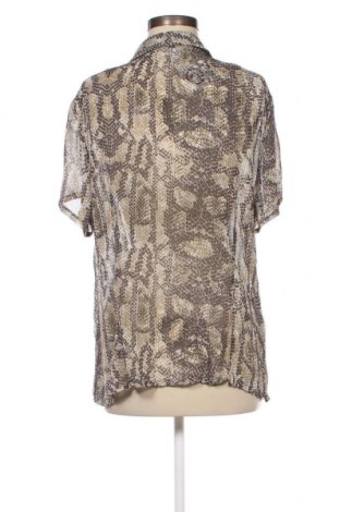 Γυναικείο πουκάμισο Hollister, Μέγεθος XL, Χρώμα Πολύχρωμο, Τιμή 5,94 €