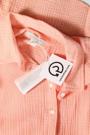 Γυναικείο πουκάμισο Outerknown, Μέγεθος XS, Χρώμα Ρόζ , Τιμή 77,32 €