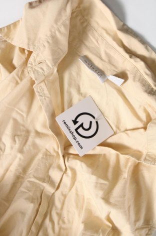Γυναικείο πουκάμισο Oviesse, Μέγεθος M, Χρώμα  Μπέζ, Τιμή 15,46 €