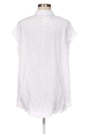 Γυναικείο πουκάμισο Peter Hahn, Μέγεθος XL, Χρώμα Λευκό, Τιμή 21,03 €