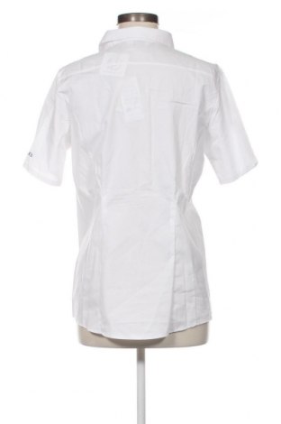 Γυναικείο πουκάμισο Russell, Μέγεθος XL, Χρώμα Λευκό, Τιμή 7,67 €