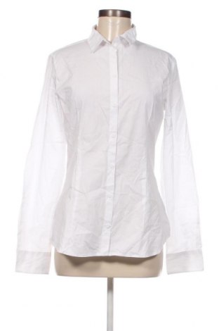 Γυναικείο πουκάμισο Terranova, Μέγεθος XL, Χρώμα Λευκό, Τιμή 13,14 €