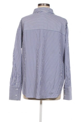 Dámska košeľa  Zara, Veľkosť L, Farba Viacfarebná, Cena  15,35 €