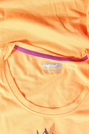 Damen T-Shirt Marmot, Größe S, Farbe Orange, Preis 13,92 €