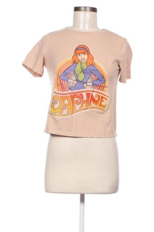 Damen T-Shirt Sinsay, Größe XS, Farbe Beige, Preis 6,62 €