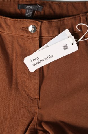 Damen Jeans Esprit, Größe L, Farbe Braun, Preis 15,70 €