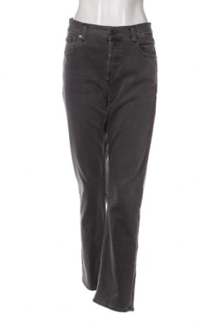 Damen Jeans Replay, Größe L, Farbe Grau, Preis 32,49 €