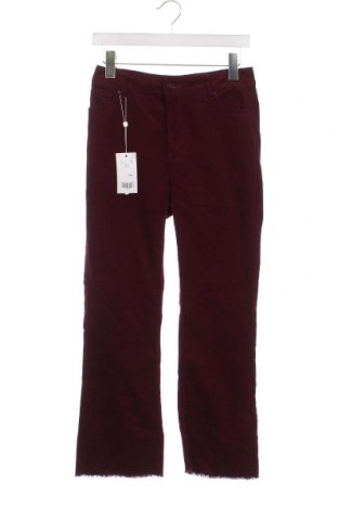 Pantaloni de velvet de femei Oviesse, Mărime XS, Culoare Roșu, Preț 40,86 Lei