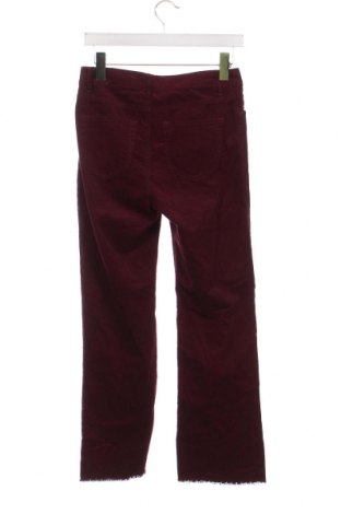 Γυναικείο κοτλέ παντελόνι Oviesse, Μέγεθος XS, Χρώμα Κόκκινο, Τιμή 2,37 €