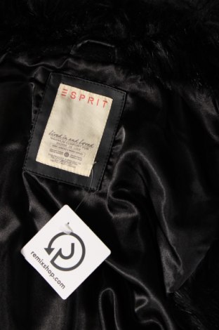Damenweste Esprit, Größe XL, Farbe Schwarz, Preis 18,79 €