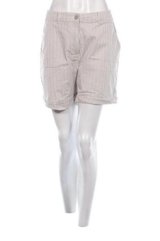 Дамски къс панталон Calliope, Размер XL, Цвят Многоцветен, Цена 19,00 лв.