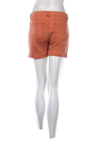 Γυναικείο κοντό παντελόνι Costes, Μέγεθος L, Χρώμα Καφέ, Τιμή 5,94 €