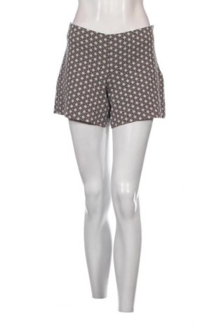 Γυναικείο κοντό παντελόνι D.Exterior, Μέγεθος M, Χρώμα Πολύχρωμο, Τιμή 8,41 €