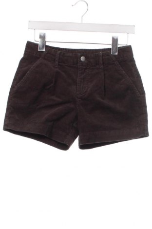 Damen Shorts Gap, Größe S, Farbe Braun, Preis € 5,01