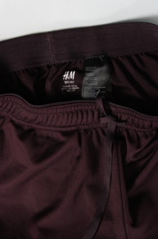 Дамски къс панталон H&M Sport, Размер XS, Цвят Кафяв, Цена 6,84 лв.