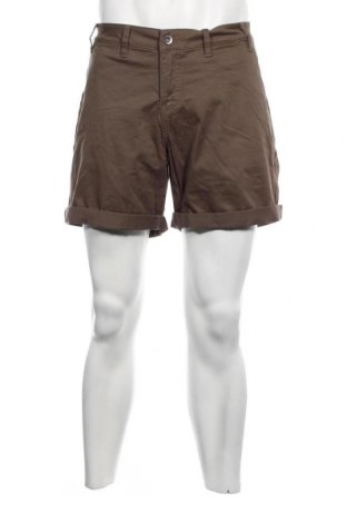 Γυναικείο κοντό παντελόνι Zizzi, Μέγεθος L, Χρώμα Πράσινο, Τιμή 13,36 €