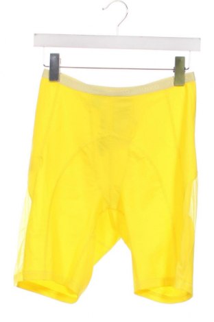 Damen Leggings Pinko, Größe L, Farbe Gelb, Preis 16,93 €