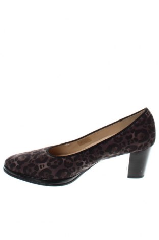 Γυναικεία παπούτσια Ara, Μέγεθος 38, Χρώμα Πολύχρωμο, Τιμή 12,25 €