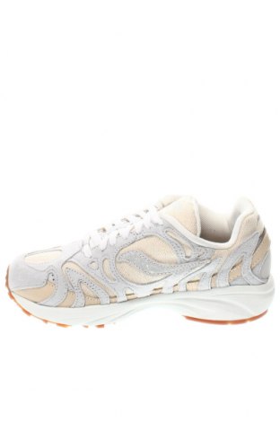 Damenschuhe Saucony, Größe 36, Farbe Mehrfarbig, Preis 35,26 €