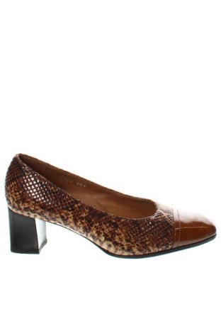 Γυναικεία παπούτσια Valleverde, Μέγεθος 38, Χρώμα Πολύχρωμο, Τιμή 14,73 €
