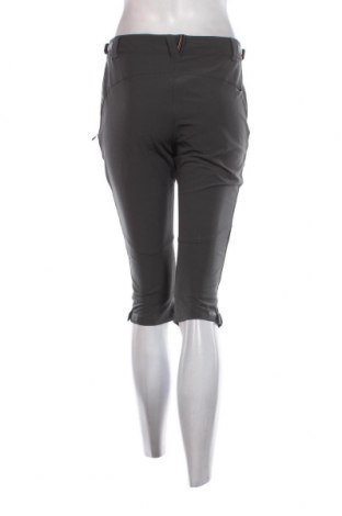 Γυναικείο παντελόνι Icepeak, Μέγεθος S, Χρώμα Γκρί, Τιμή 24,12 €