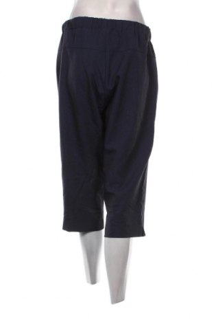 Damenhose Setter, Größe L, Farbe Blau, Preis 4,04 €