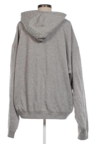 Γυναικείο φούτερ BDG, Μέγεθος XL, Χρώμα Γκρί, Τιμή 44,85 €