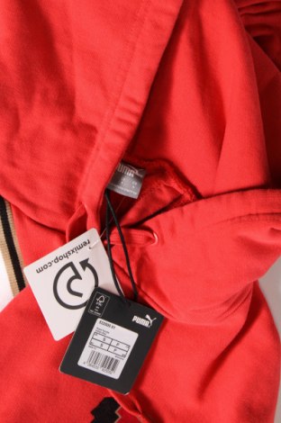 Γυναικείο φούτερ PUMA, Μέγεθος S, Χρώμα Κόκκινο, Τιμή 52,58 €