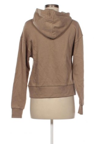 Damen Sweatshirt Pull&Bear, Größe XS, Farbe Braun, Preis 8,26 €