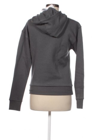 Damen Sweatshirt Reebok, Größe XXS, Farbe Grau, Preis 17,88 €
