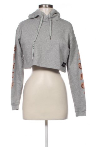 Damen Sweatshirt Sixth June, Größe S, Farbe Grau, Preis 4,45 €