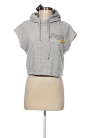 Damen Sweatshirt Viral Vibes, Größe S, Farbe Grau, Preis € 6,73
