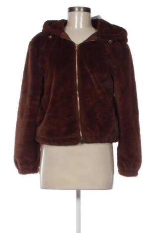 Дамско палто Primark, Размер XXS, Цвят Кафяв, Цена 21,76 лв.