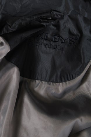 Dámska bunda  Bexleys, Veľkosť XL, Farba Modrá, Cena  27,78 €