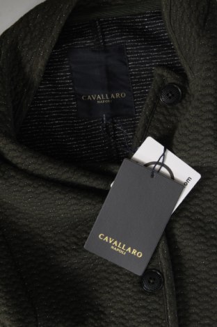 Γυναικείο μπουφάν Cavallaro Napoli, Μέγεθος M, Χρώμα Πράσινο, Τιμή 24,49 €