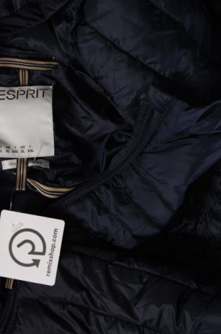 Dámska bunda  Esprit, Veľkosť XL, Farba Modrá, Cena  75,26 €