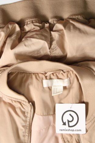 Damenjacke H&M, Größe M, Farbe Weiß, Preis € 6,87