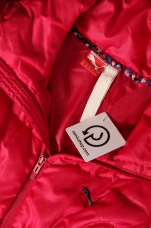 Γυναικείο μπουφάν PUMA, Μέγεθος XS, Χρώμα Κόκκινο, Τιμή 26,33 €