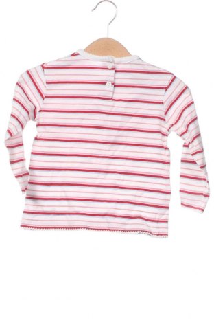 Детска блуза Baby Club, Размер 18-24m/ 86-98 см, Цвят Многоцветен, Цена 11,73 лв.