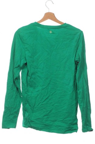 Kinder Shirt Vingino, Größe 15-18y/ 170-176 cm, Farbe Grün, Preis 3,84 €