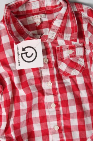 Παιδικό πουκάμισο Esprit, Μέγεθος 9-12m/ 74-80 εκ., Χρώμα Πολύχρωμο, Τιμή 3,76 €