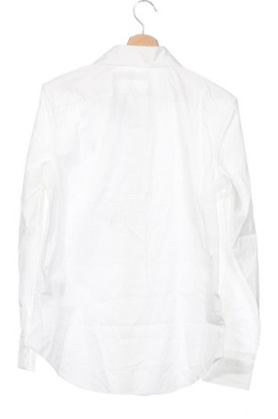 Γυναικείο πουκάμισο Polo By Ralph Lauren, Μέγεθος M, Χρώμα Λευκό, Τιμή 83,51 €
