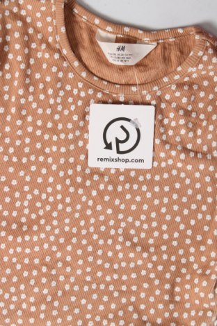 Kinder T-Shirt H&M, Größe 14-15y/ 168-170 cm, Farbe Braun, Preis € 6,96