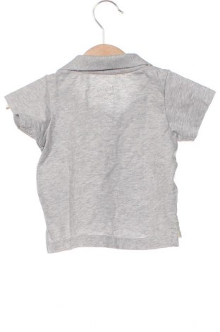 Детска тениска Lupilu, Размер 3-6m/ 62-68 см, Цвят Сив, Цена 5,29 лв.