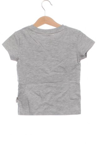 Παιδικό μπλουζάκι Trespass, Μέγεθος 18-24m/ 86-98 εκ., Χρώμα Γκρί, Τιμή 18,29 €
