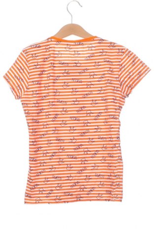 Детска тениска Zeeman, Размер 10-11y/ 146-152 см, Цвят Многоцветен, Цена 5,04 лв.