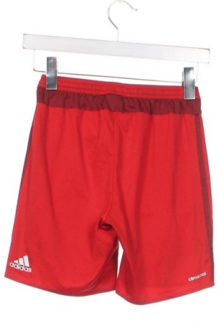 Dětské krátké kalhoty  Adidas, Velikost 11-12y/ 152-158 cm, Barva Červená, Cena  351,00 Kč