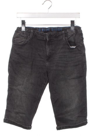 Παιδικό κοντό παντελόνι Blue Ridge, Μέγεθος 15-18y/ 170-176 εκ., Χρώμα Γκρί, Τιμή 4,07 €